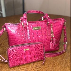 Brahmin Bag and Wallet